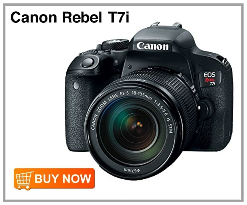 Canon Rebel T7i