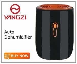 Yangzi Auto Dehumidifier