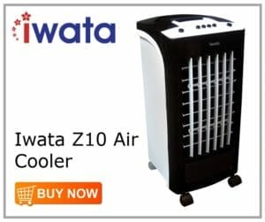 Iwata Z10 Air Cooler