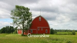 Steel barn, farm, roof, grass, trees, environment